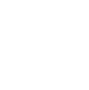 Logan Metro Logo
